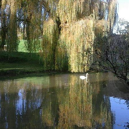Le Clos Des Cygnes Шарол Екстериор снимка
