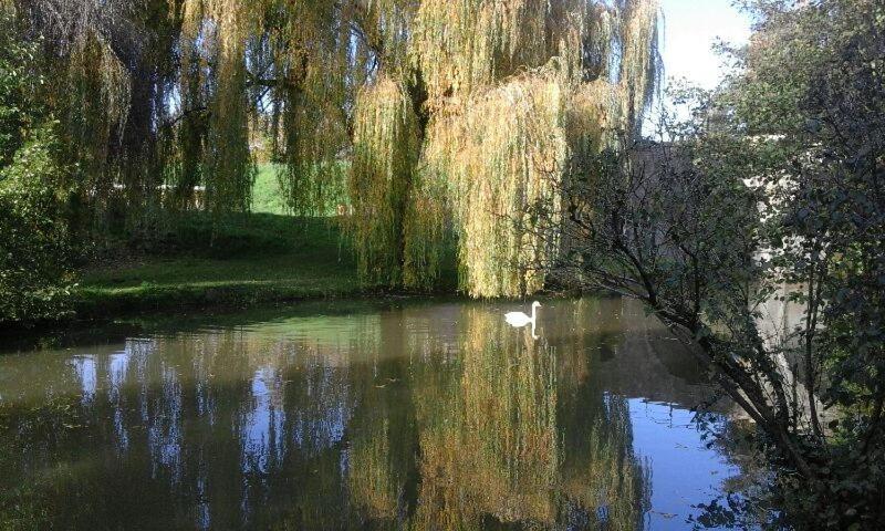 Le Clos Des Cygnes Шарол Екстериор снимка